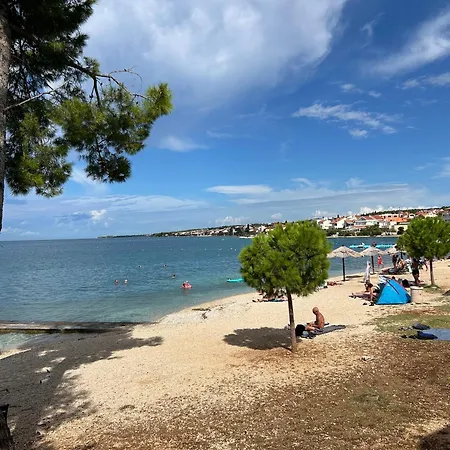 Kovacev Ζαντάρ