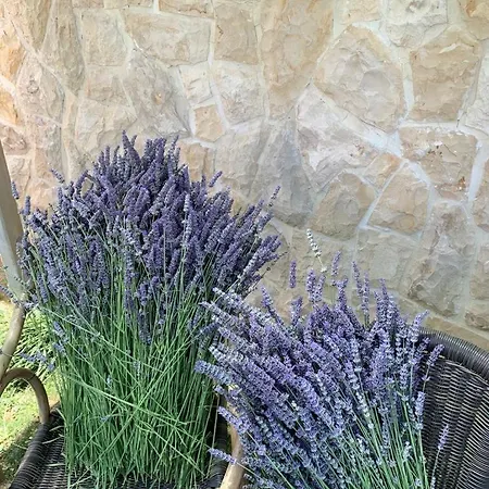 Appartement Kovacev Zadar