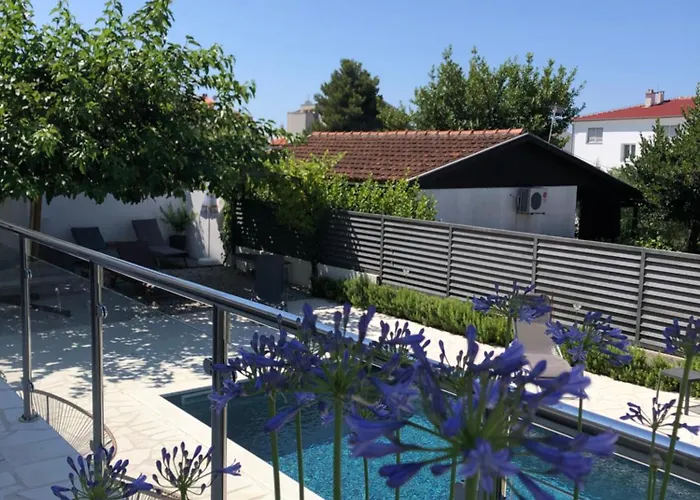 Kovacev Ζαντάρ